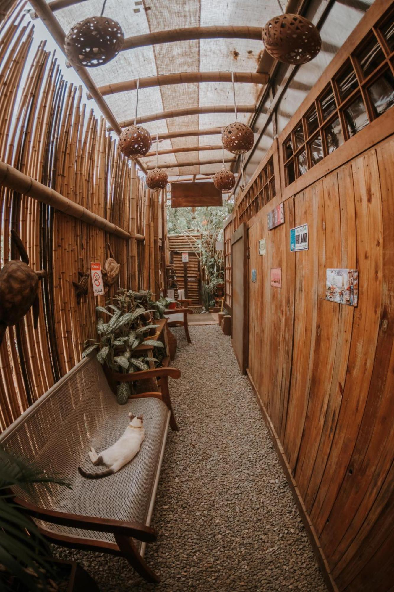 Doce Lar Hostel Noronha Fernando de Noronha Luaran gambar